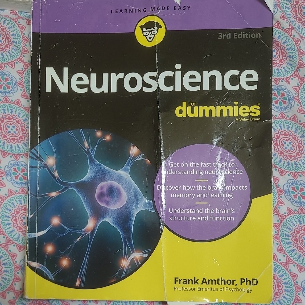 Neuroscience for Dummies 3rd Edition Book